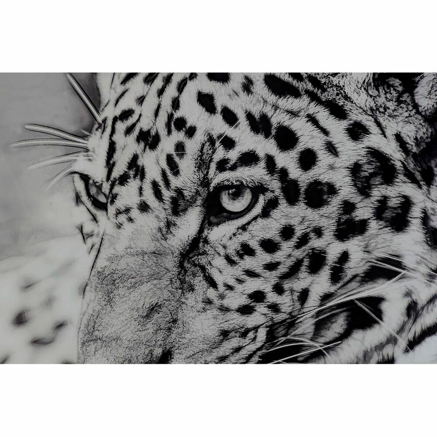 Painting DKD Home Decor 100 x 2,5 x 100 cm Leopard Colonial (2 Units)