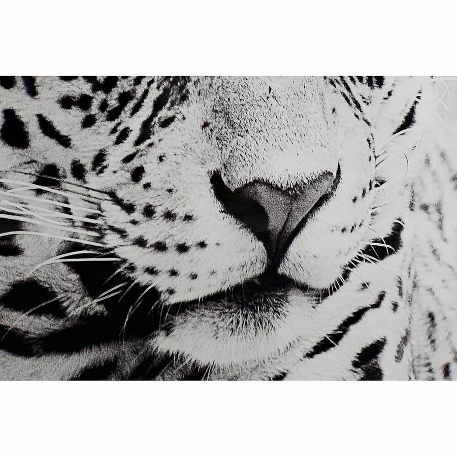 Painting DKD Home Decor 100 x 2,5 x 100 cm Leopard Colonial (2 Units)