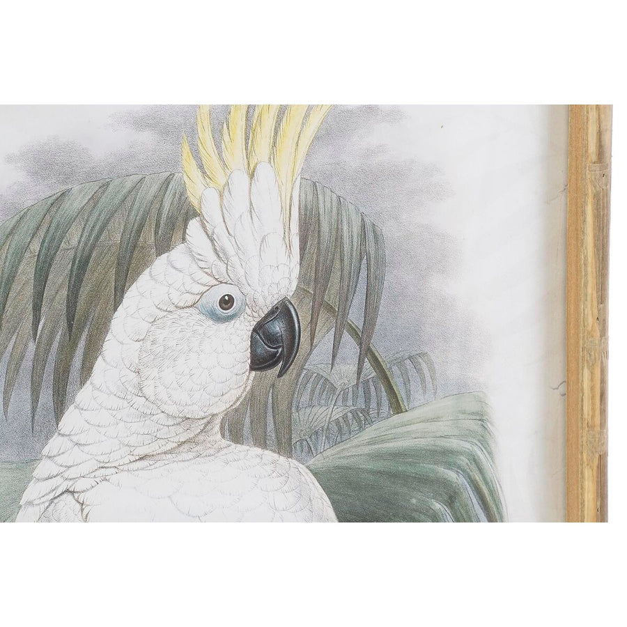 Painting DKD Home Decor 50 x 2,8 x 70 cm Colonial Parrot (2 Units)