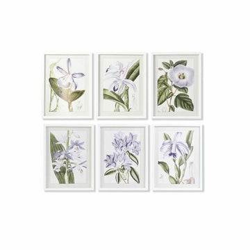 Painting DKD Home Decor 40 x 2 x 54 cm Flowers Shabby Chic (6 Pieces)