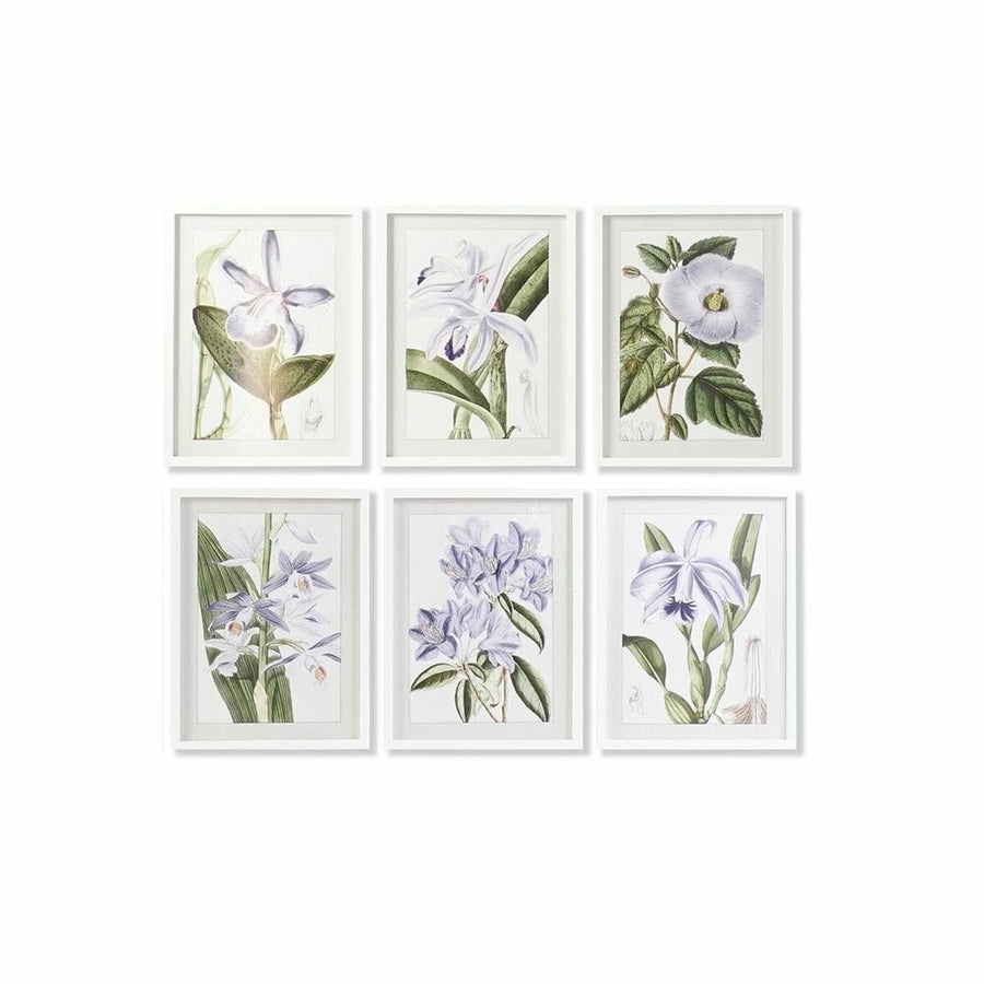 Painting DKD Home Decor 40 x 2 x 54 cm Flowers Shabby Chic (6 Pieces)