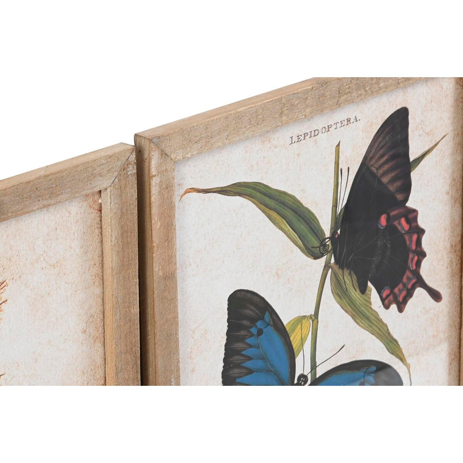 Painting DKD Home Decor Butterflies 40 x 2 x 50 cm Shabby Chic (4 Pieces)