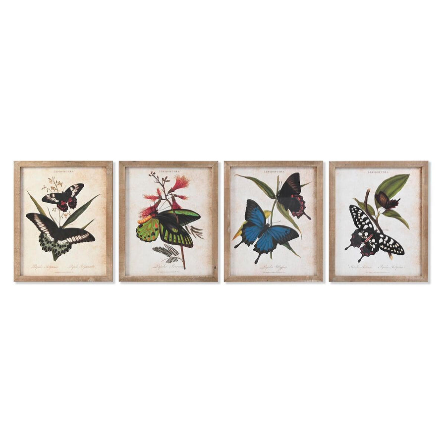 Painting DKD Home Decor Butterflies 40 x 2 x 50 cm Shabby Chic (4 Pieces)