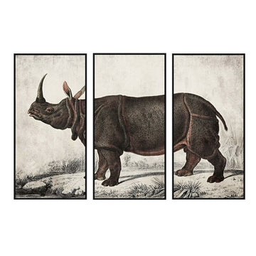 Painting DKD Home Decor Colonial Rhinoceros (180 x 4 x 120 cm)